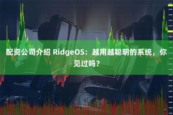 配资公司介绍 RidgeOS：越用越聪明的系统，你见过吗？